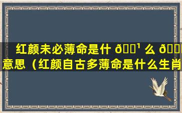 红颜未必薄命是什 🌹 么 🐋 意思（红颜自古多薄命是什么生肖）